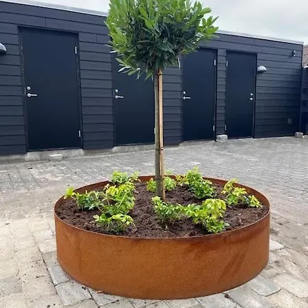 Hyggelig I Aeldre I By *